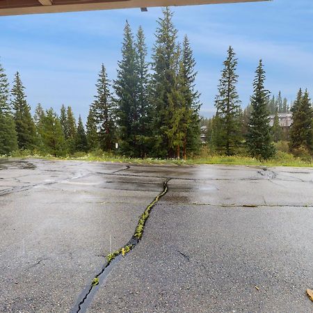 Buffalo Ridge Condos Silverthorne Ruang foto